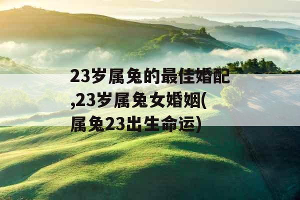 23岁属兔的最佳婚配,23岁属兔女婚姻(属兔23出生命运)