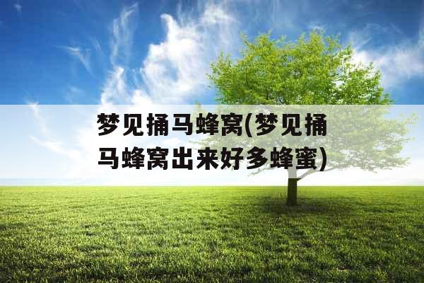 梦见捅马蜂窝(梦见捅马蜂窝出来好多蜂蜜)