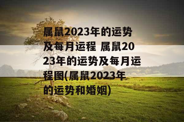 属鼠2023年的运势及每月运程 属鼠2023年的运势及每月运程图(属鼠2023年的运势和婚姻)