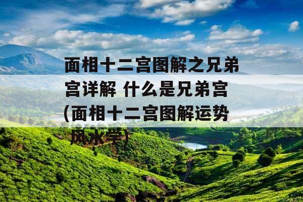 面相十二宫图解之兄弟宫详解 什么是兄弟宫(面相十二宫图解运势 风水学) 面相十二宫图解之兄弟宫详解 什么是兄弟宫(面相十二宫图解运势 风水学)