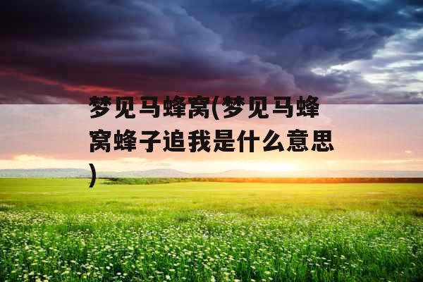 梦见马蜂窝(梦见马蜂窝蜂子追我是什么意思)