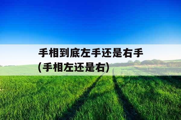 手相到底左手还是右手(手相左还是右)