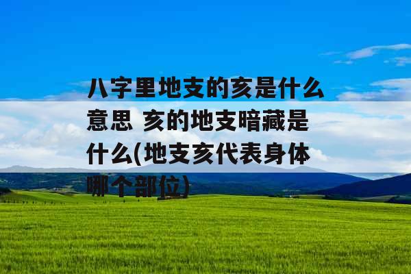 八字里地支的亥是什么意思 亥的地支暗藏是什么(地支亥代表身体哪个部位)