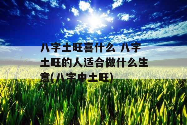 八字土旺喜什么 八字土旺的人适合做什么生意(八字中土旺)