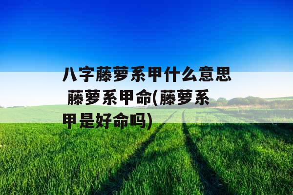 八字藤萝系甲什么意思 藤萝系甲命(藤萝系甲是好命吗)