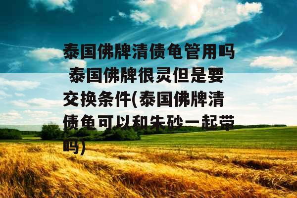 泰国佛牌清债龟管用吗 泰国佛牌很灵但是要交换条件(泰国佛牌清债龟可以和朱砂一起带吗) 泰国佛牌清债龟管用吗 泰国佛牌很灵但是要交换条件(泰国佛牌清债龟可以和朱砂一起带吗)