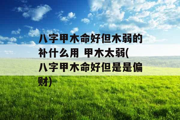 八字甲木命好但木弱的补什么用 甲木太弱(八字甲木命好但是是偏财)