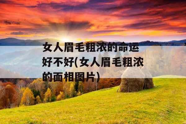 女人眉毛粗浓的命运 好不好(女人眉毛粗浓的面相图片)