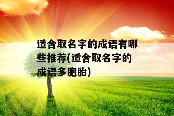 适合取名字的成语有哪些推荐(适合取名字的成语多胞胎) 适合取名字的成语有哪些推荐(适合取名字的成语多胞胎)