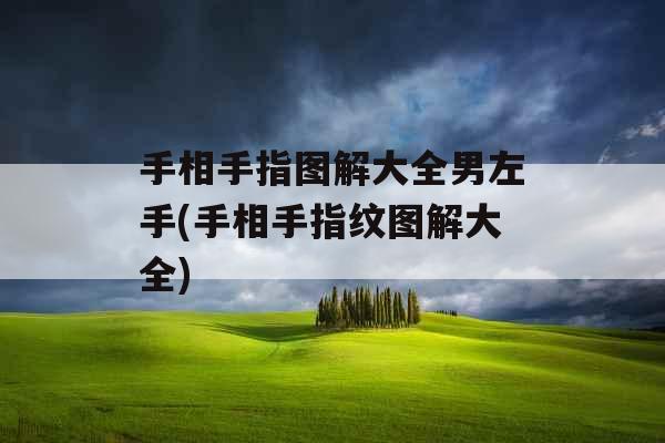 手相手指图解大全男左手(手相手指纹图解大全)