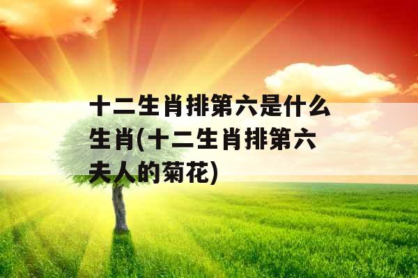 十二生肖排第六是什么生肖(十二生肖排第六夫人的菊花)