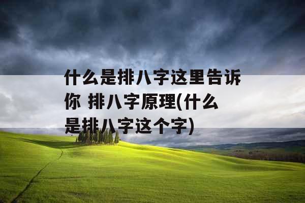 什么是排八字这里告诉你 排八字原理(什么是排八字这个字)