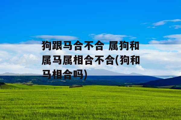 狗跟马合不合 属狗和属马属相合不合(狗和马相合吗) 狗跟马合不合 属狗和属马属相合不合(狗和马相合吗)
