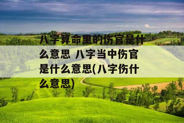 八字算命里的伤官是什么意思 八字当中伤官是什么意思(八字伤什么意思)