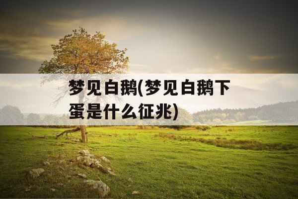 梦见白鹅(梦见白鹅下蛋是什么征兆)
