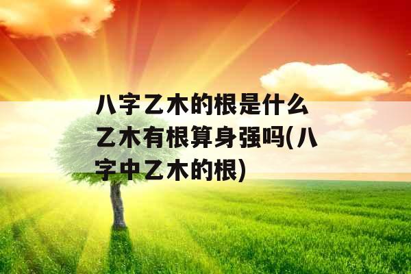 八字乙木的根是什么 乙木有根算身强吗(八字中乙木的根)