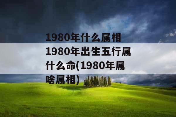 1980年什么属相 1980年出生五行属什么命(1980年属啥属相) 1980年什么属相 1980年出生五行属什么命(1980年属啥属相)