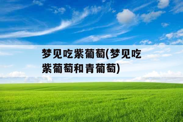 梦见吃紫葡萄(梦见吃紫葡萄和青葡萄)