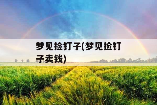 梦见捡钉子(梦见捡钉子卖钱)