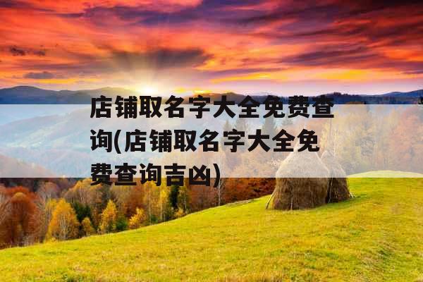 店铺取名字大全免费查询(店铺取名字大全免费查询吉凶)
