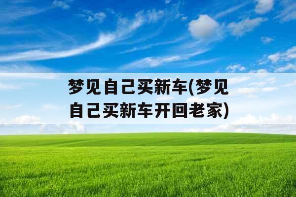 梦见自己买新车(梦见自己买新车开回老家) 梦见自己买新车(梦见自己买新车开回老家)
