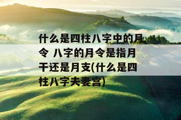 什么是四柱八字中的月令 八字的月令是指月干还是月支(什么是四柱八字夫妻宫) 什么是四柱八字中的月令 八字的月令是指月干还是月支(什么是四柱八字夫妻宫)