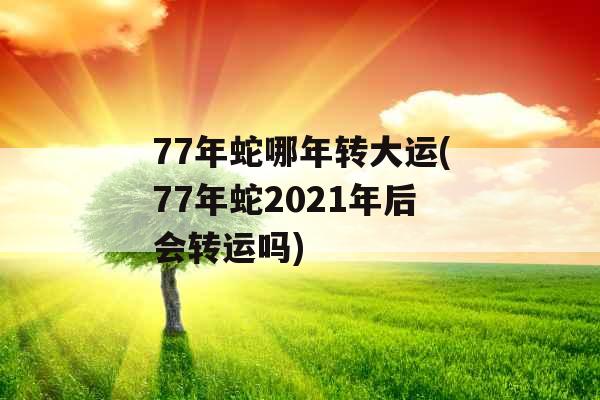 77年蛇哪年转大运(77年蛇2021年后会转运吗) 77年蛇哪年转大运(77年蛇2021年后会转运吗)