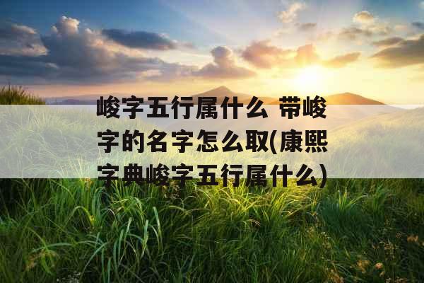峻字五行属什么 带峻字的名字怎么取(康熙字典峻字五行属什么)