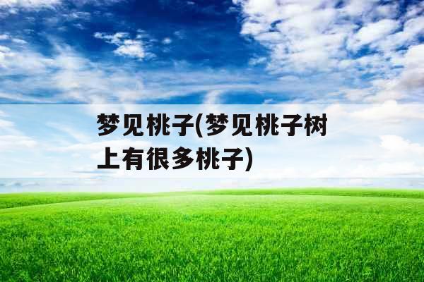 梦见桃子(梦见桃子树上有很多桃子) 梦见桃子(梦见桃子树上有很多桃子)