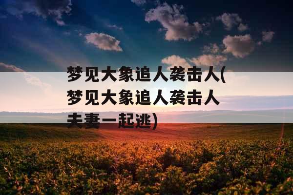 梦见大象追人袭击人(梦见大象追人袭击人 夫妻一起逃)