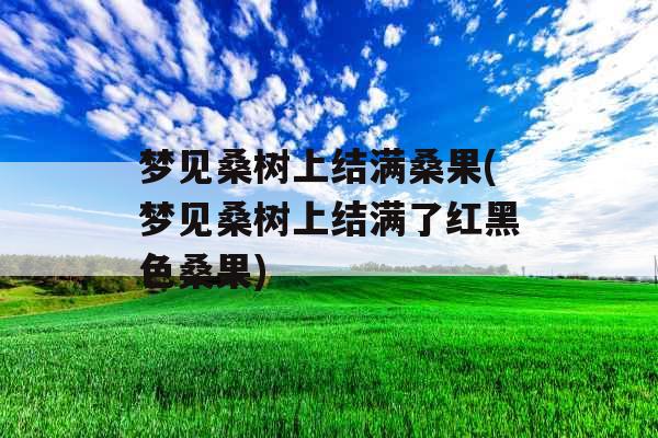 梦见桑树上结满桑果(梦见桑树上结满了红黑色桑果)