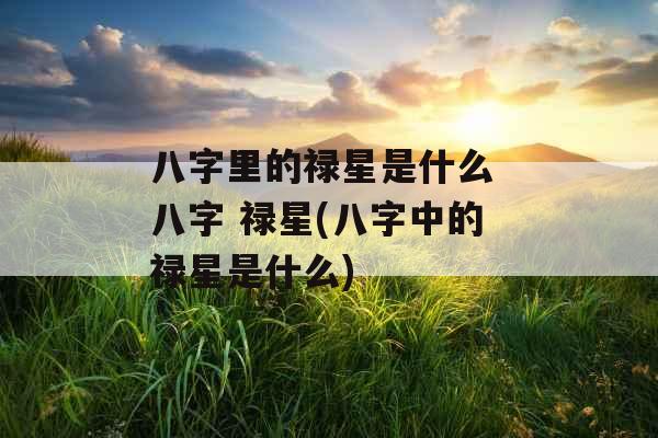 八字里的禄星是什么 八字 禄星(八字中的禄星是什么) 八字里的禄星是什么 八字 禄星(八字中的禄星是什么)