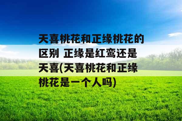 天喜桃花和正缘桃花的区别 正缘是红鸾还是天喜(天喜桃花和正缘桃花是一个人吗) 天喜桃花和正缘桃花的区别 正缘是红鸾还是天喜(天喜桃花和正缘桃花是一个人吗)