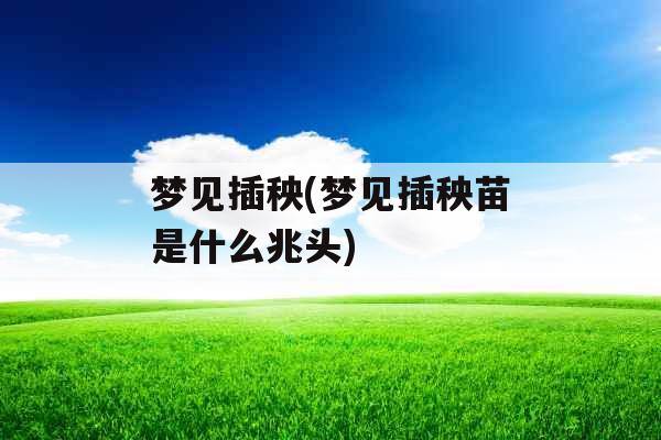 梦见插秧(梦见插秧苗是什么兆头)