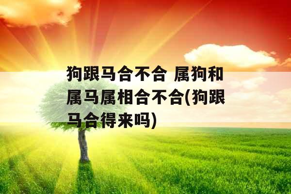 狗跟马合不合 属狗和属马属相合不合(狗跟马合得来吗)
