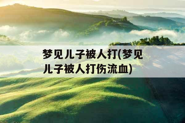 梦见儿子被人打(梦见儿子被人打伤流血)