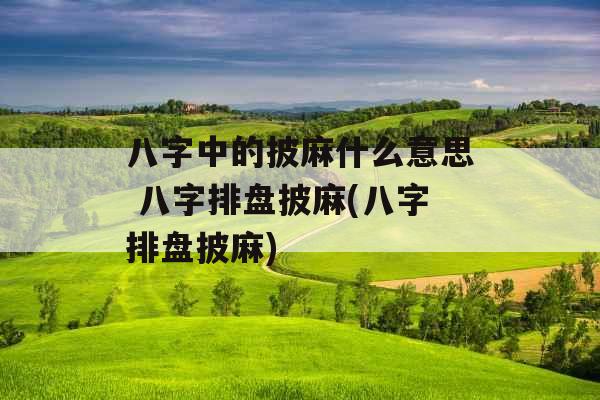 八字中的披麻什么意思 八字排盘披麻(八字排盘披麻)