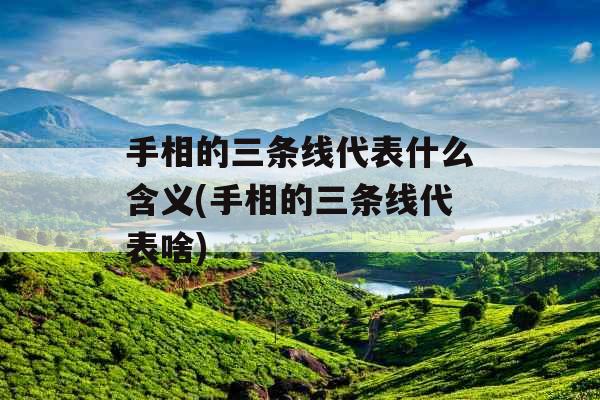 手相的三条线代表什么含义(手相的三条线代表啥)