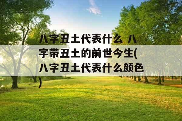 八字丑土代表什么 八字带丑土的前世今生(八字丑土代表什么颜色)