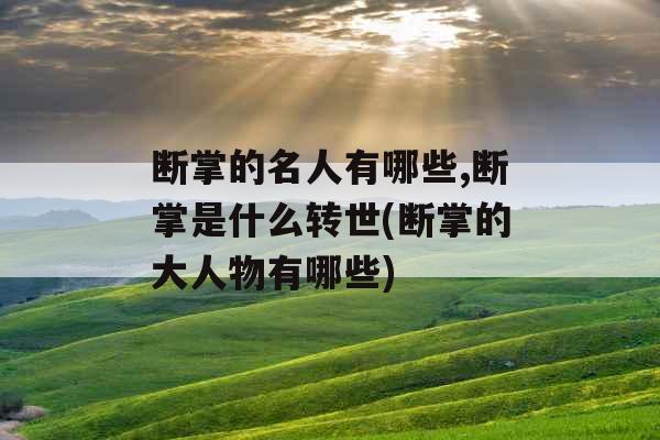 断掌的名人有哪些,断掌是什么转世(断掌的大人物有哪些)
