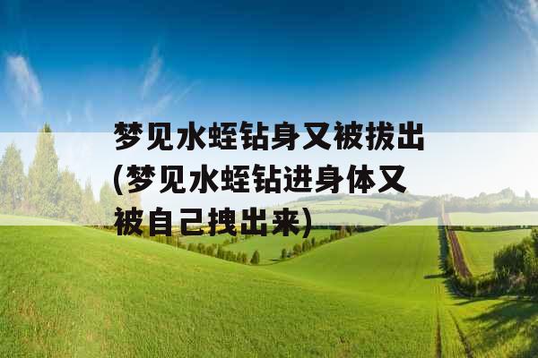 梦见水蛭钻身又被拔出(梦见水蛭钻进身体又被自己拽出来)