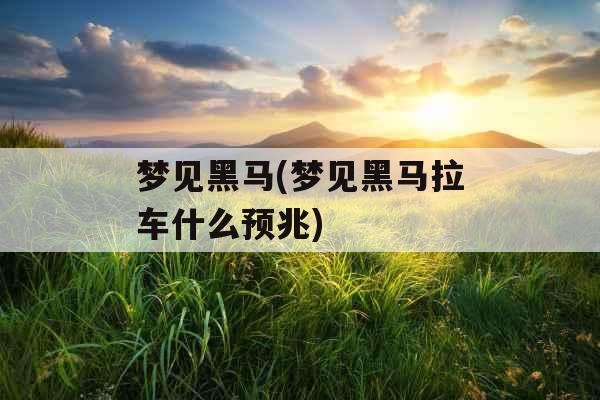 梦见黑马(梦见黑马拉车什么预兆)
