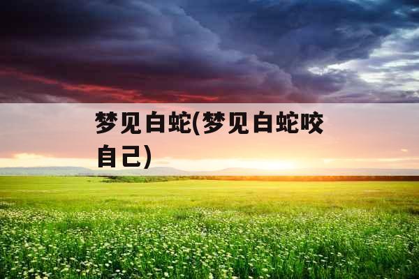 梦见白蛇(梦见白蛇咬自己)