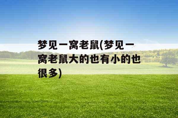 梦见一窝老鼠(梦见一窝老鼠大的也有小的也很多)