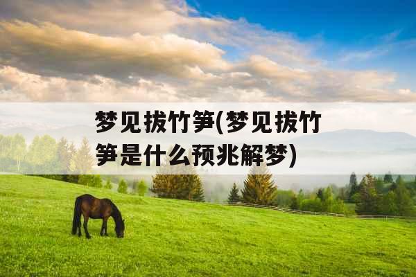 梦见拔竹笋(梦见拔竹笋是什么预兆解梦) 梦见拔竹笋(梦见拔竹笋是什么预兆解梦)