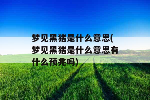 梦见黑猪是什么意思(梦见黑猪是什么意思有什么预兆吗)