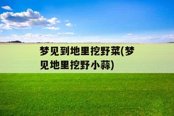 梦见到地里挖野菜(梦见地里挖野小蒜)