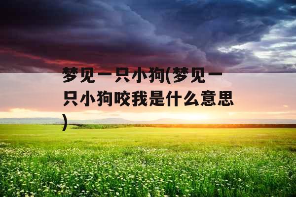 梦见一只小狗(梦见一只小狗咬我是什么意思) 梦见一只小狗(梦见一只小狗咬我是什么意思)