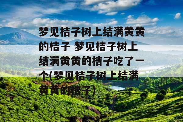 梦见桔子树上结满黄黄的桔子 梦见桔子树上结满黄黄的桔子吃了一个(梦见桔子树上结满黄黄的桔子)