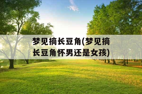 梦见摘长豆角(梦见摘长豆角怀男还是女孩) 梦见摘长豆角(梦见摘长豆角怀男还是女孩)